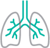 Lungs icon