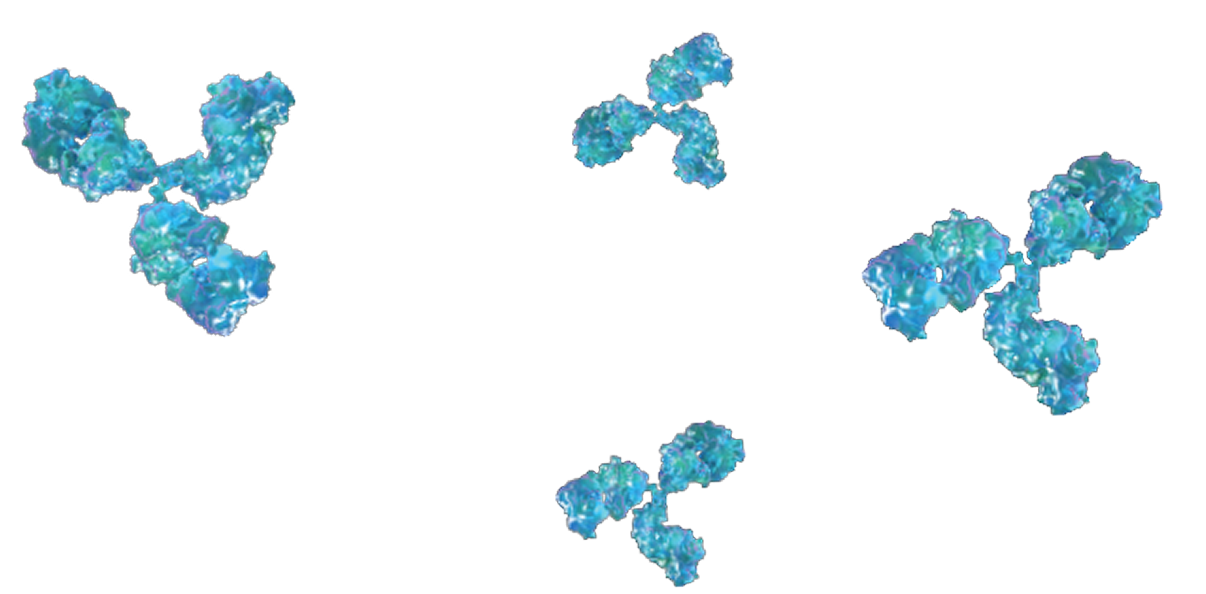 Chemokine (C-X-C motif) ligand 9 (CXCL9)