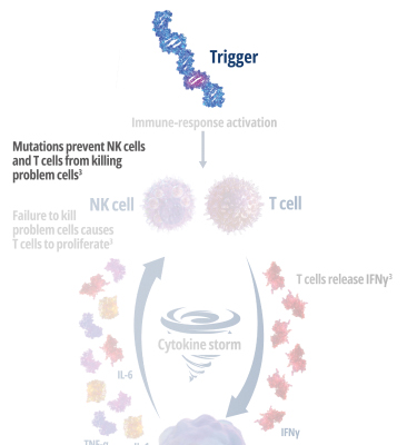 Stage 1 - In primary HLH, genetic mutations prevent perforin pore formation  needed for cell lysis.