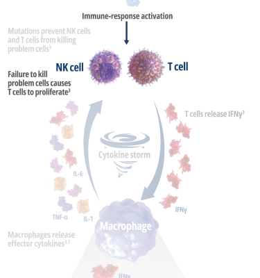 Stage 2 - The failure to kill APCs leads to the proliferation and hyperactivation of T cells.