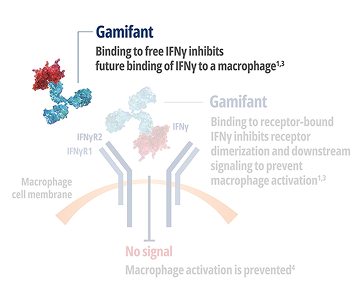 Gamifant – Binding to free IFNy inhibits future binding of IFNy to a macrophage