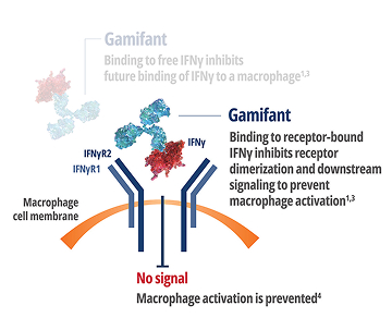 No signal – Macrophage activation is prevented
