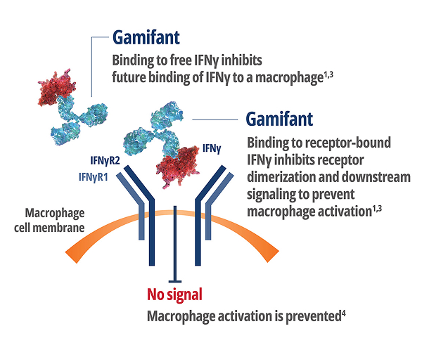 No signal – Macrophage activation is prevented