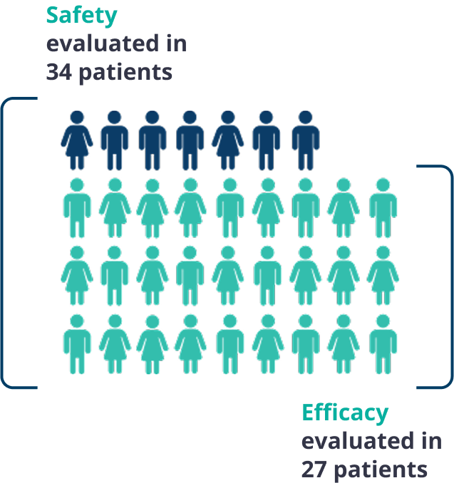 Safety & efficacy evaluated in patients icon