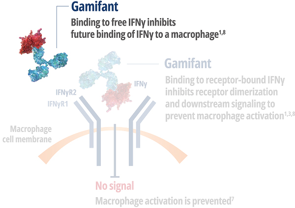 By binding to free IFNγ, Gamifant inhibits future binding of IFNγ to a macrophage.