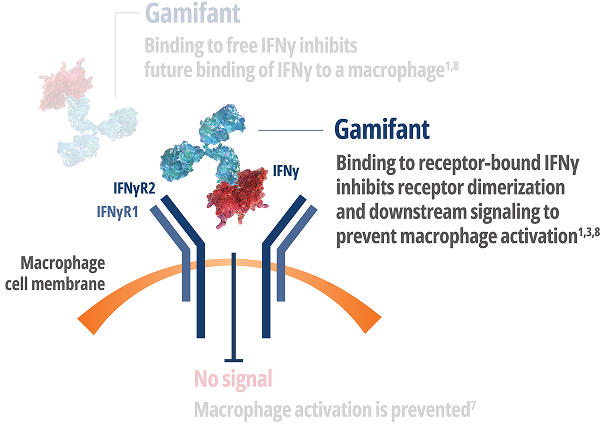 When binding to receptor-bound IFNγ, Gamifant inhibits dimerization of the receptor and prevents macrophage activation.