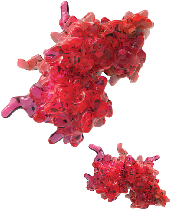 Interferon gamma (IFNγ)