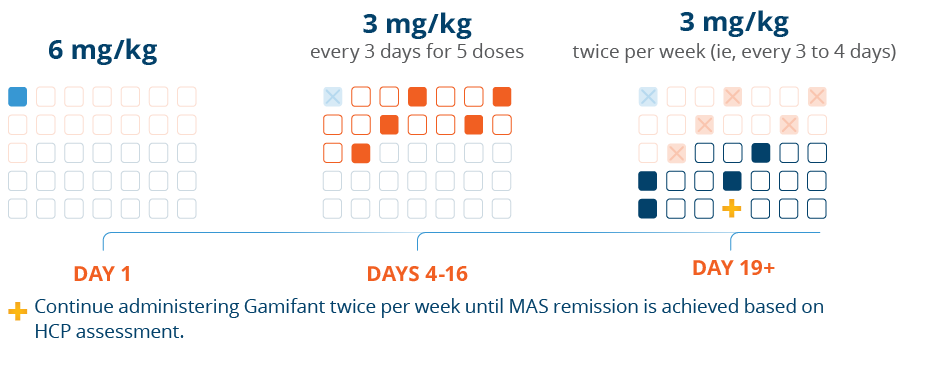 Dosing chart – days 1 through 19+