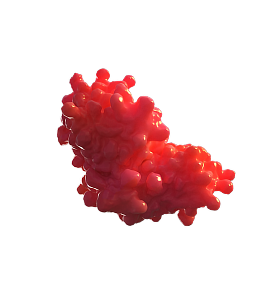 IFNY macrophage