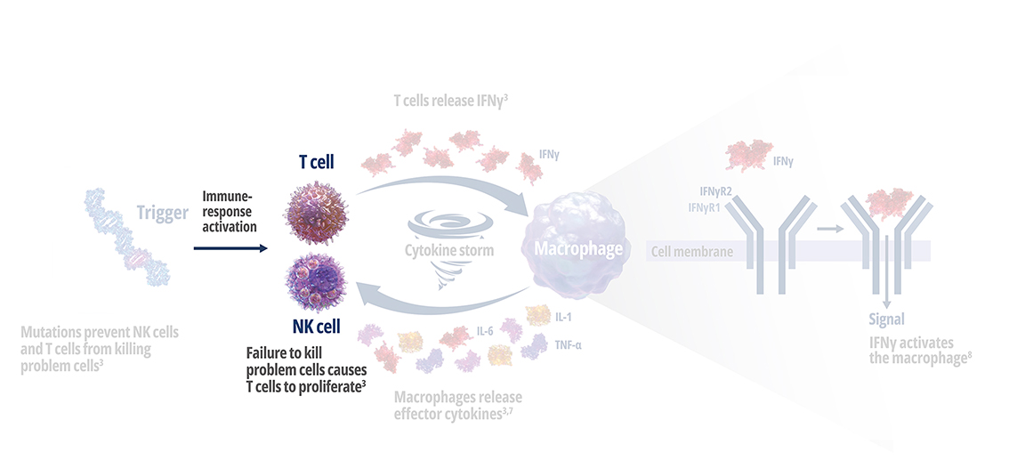 Stage 2 - The failure to kill APCs leads to the proliferation and hyperactivation of T cells.
