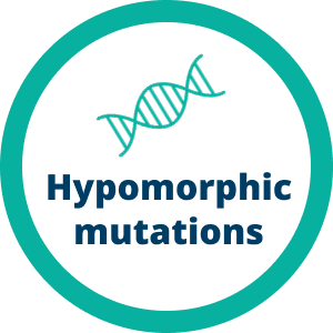 Hypomorphic Mutations