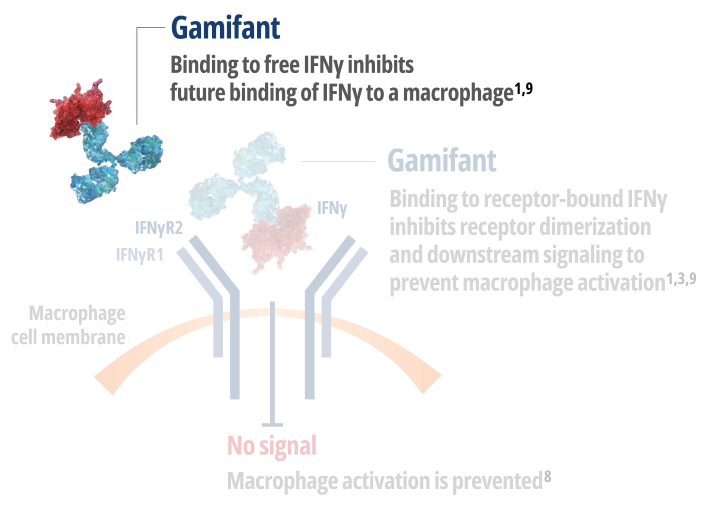 Gamifant binding to Interferon Gamma (IFNy) free