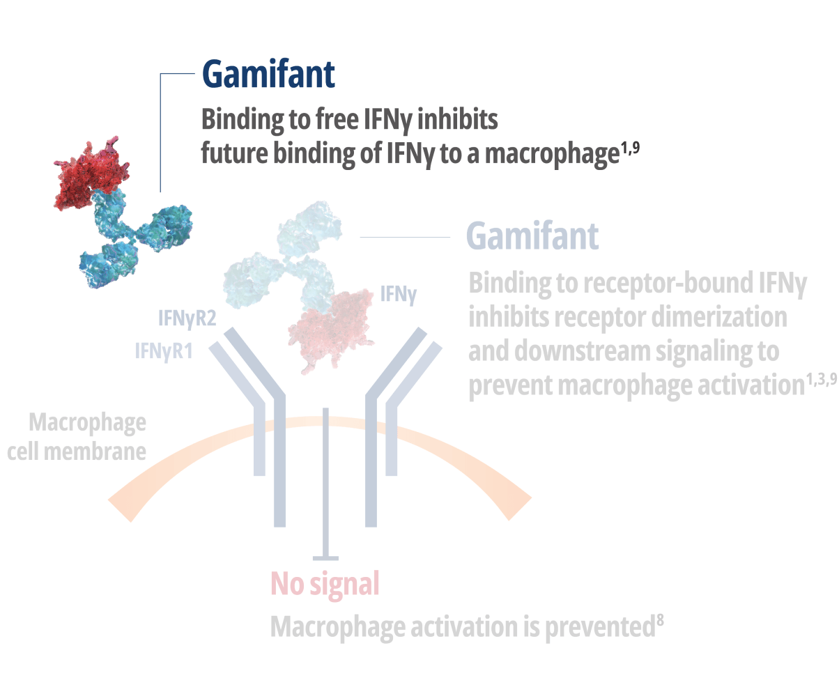 Gamifant binding to Interferon Gamma (IFNy) free