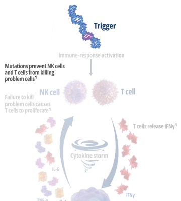 How Interferon Gamma Drives Macrophage Activation and Hyperinflammation – Frame 1