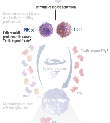 How Interferon Gamma Drives Macrophage Activation and Hyperinflammation – Frame 2