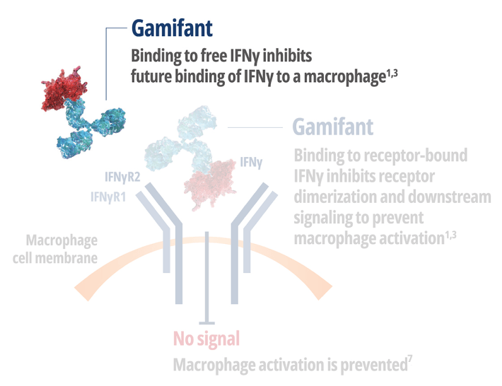Gamifant binding to Interferon Gamma (IFNy) free