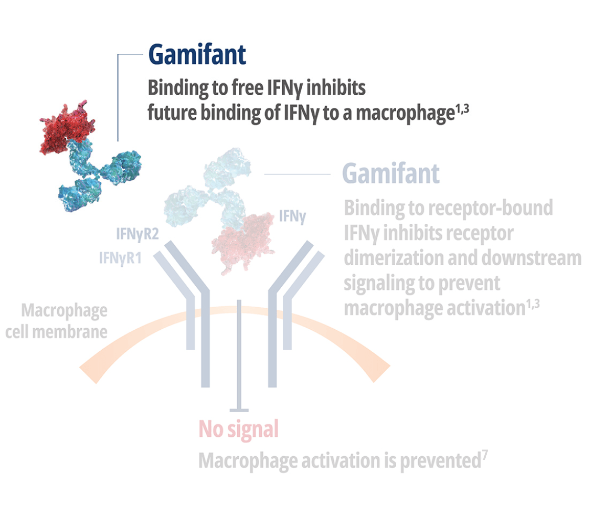 Gamifant binding to Interferon Gamma (IFNy) free