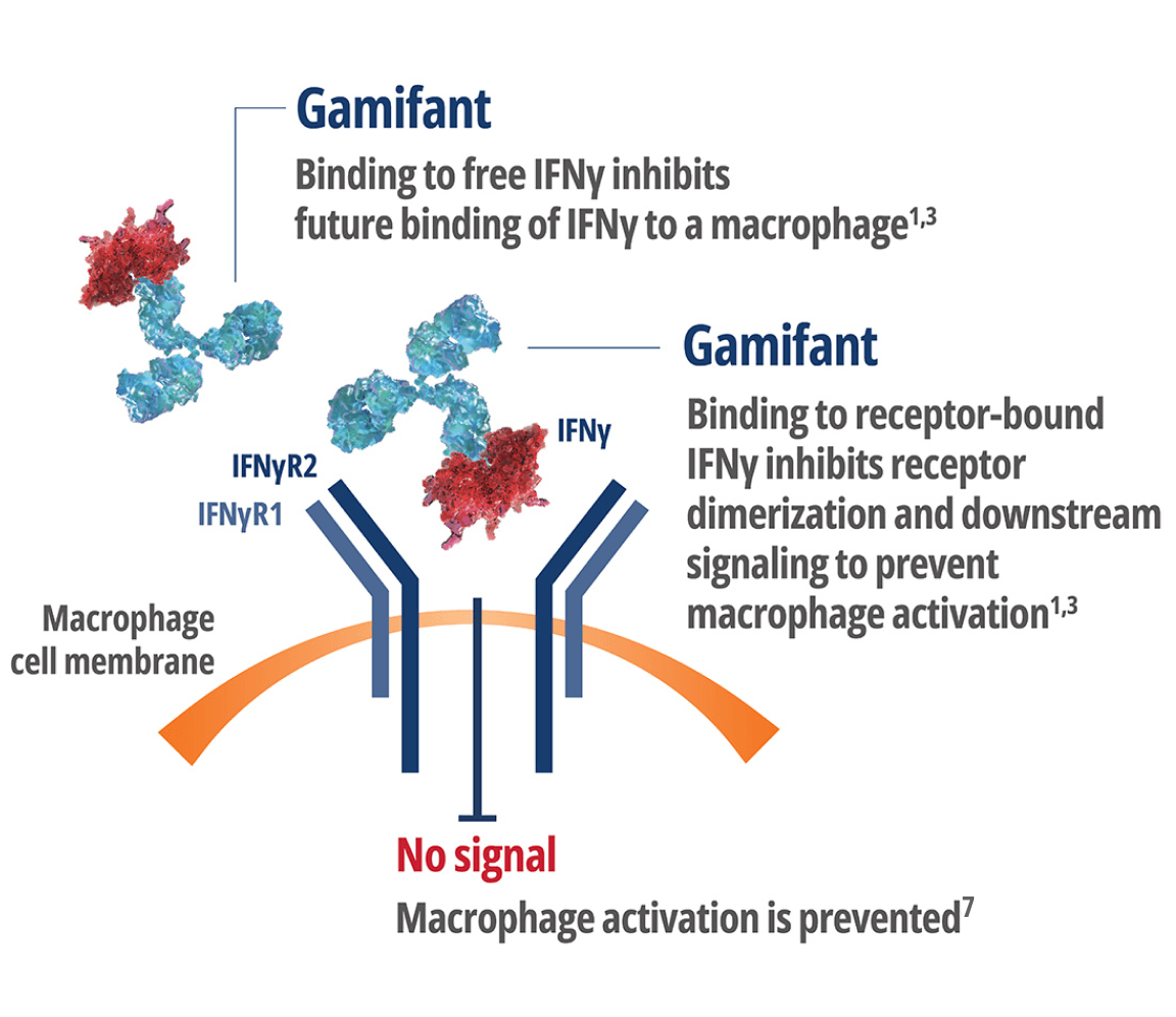Gammifant binding to Interferon Gamma (IFNy)