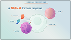 Biology of HLH – MOD Video Thumbnail